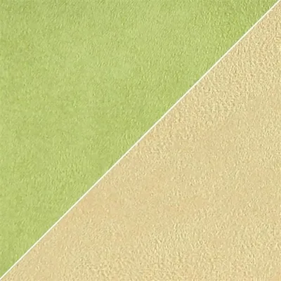 MOLESKINE - CHARTREUSE thumbnail 2