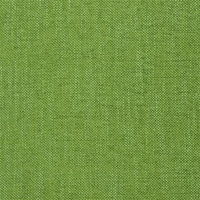 CASTIGLIONE - ABSINTHE swatch