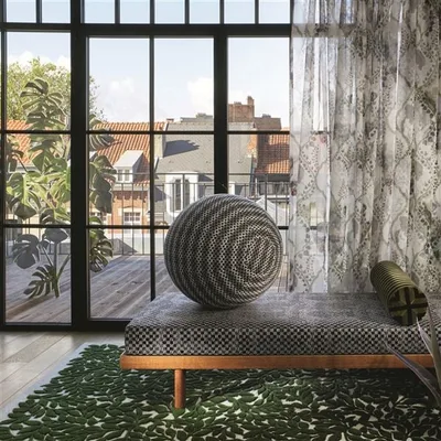 ROSEE DU MATIN ROSEAU thumbnail 3