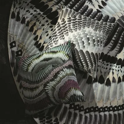 PRÊTE-MOI TA PLUME BOURGEON thumbnail 5