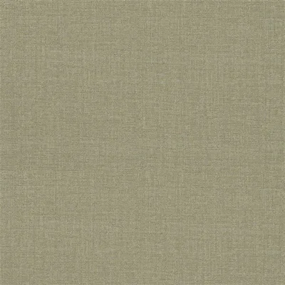 WISTERIA ALBA RUISSEAU thumbnail 6