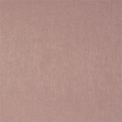 FEU FOLLET BOURGEON thumbnail 5