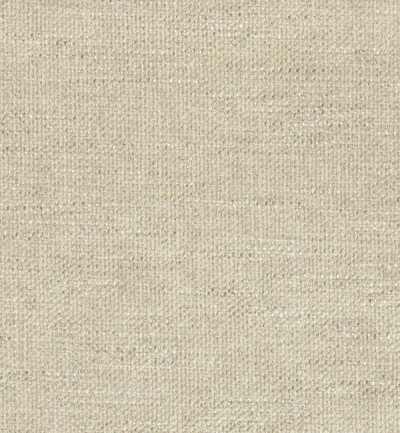 AVELLINO CAMEO swatch