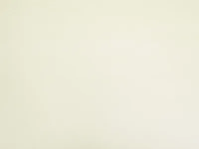 CAMBIO — Cambio swatch, view 1