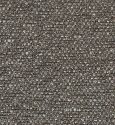 ELBA COYOTE — Elba swatch, view 1