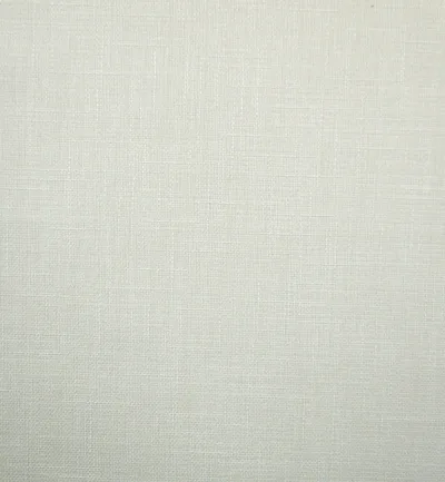 EMPORIO SILVER swatch