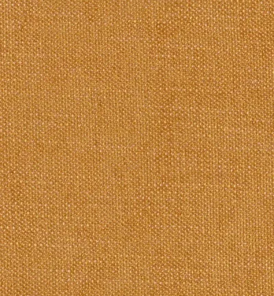 FINESSE MUSTARD thumbnail 2