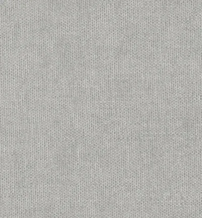 FINESSE SILVER swatch