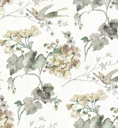 GIARDINO thumbnail 2