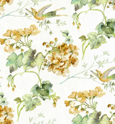 GIARDINO thumbnail 2