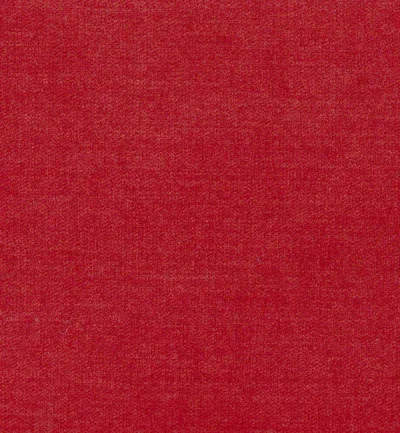 LUNA SALSA thumbnail 2