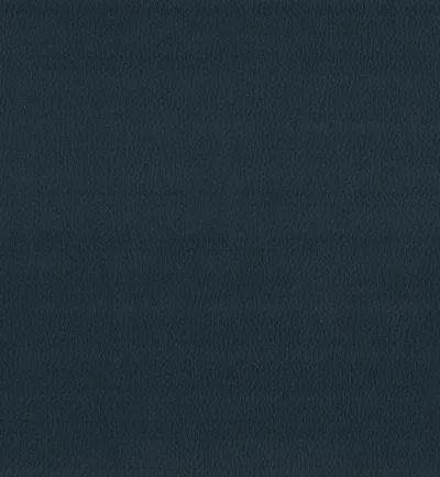 MAXIMO ATLANTIC swatch