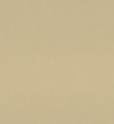 MAXIMO BISCUIT swatch