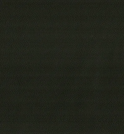 MAXIMO BLACK thumbnail 2