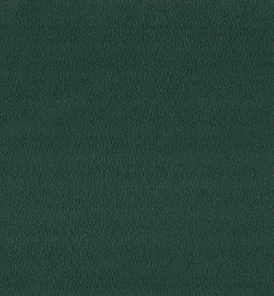 MAXIMO CELTIC — Maximo swatch, view 1