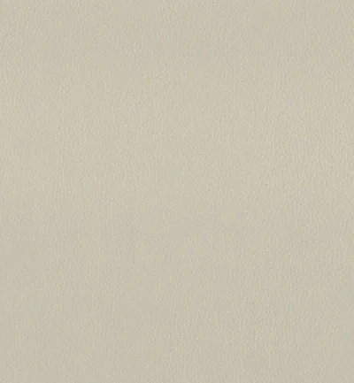 MAXIMO CHALK thumbnail 2