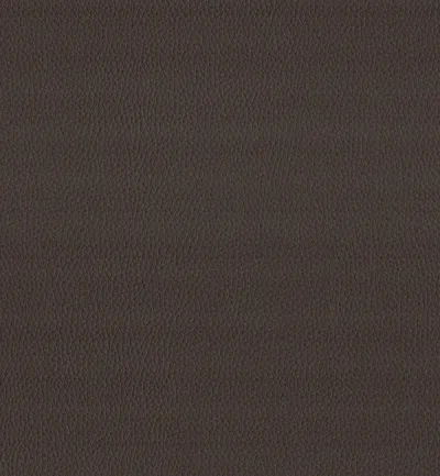 MAXIMO CHOCOLATE — Maximo swatch, view 1
