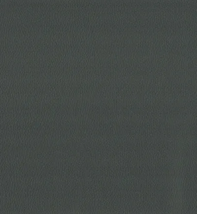 MAXIMO GREY — Maximo swatch, view 1