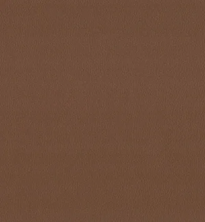 MAXIMO LATTE thumbnail 2