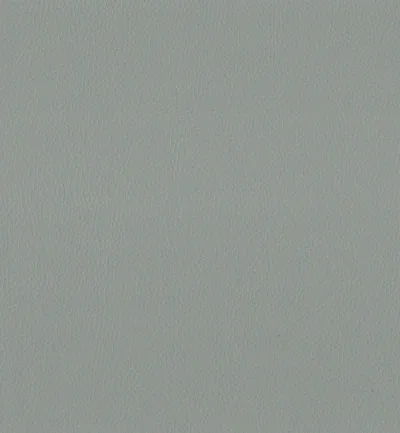 MAXIMO MIST — Maximo swatch, view 1