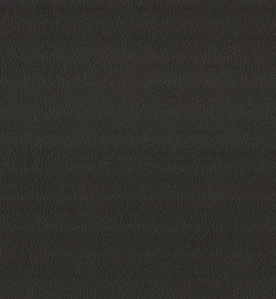 MAXIMO MOCHA — Maximo swatch, view 1