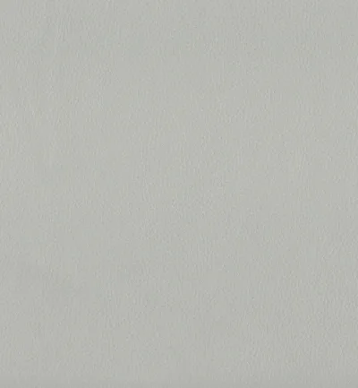 MAXIMO SILVER swatch