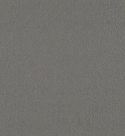 MAXIMO STEEL — Maximo swatch, view 1