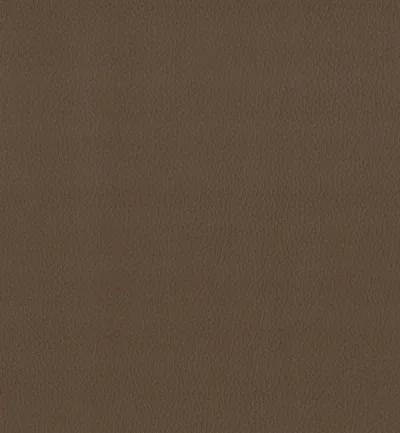 MAXIMO TAN — Maximo swatch, view 1