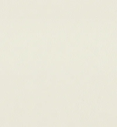 MAXIMO WHITE thumbnail 2