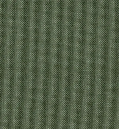 PADUA BRISTLE swatch