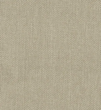 PADUA RYEGRASS swatch