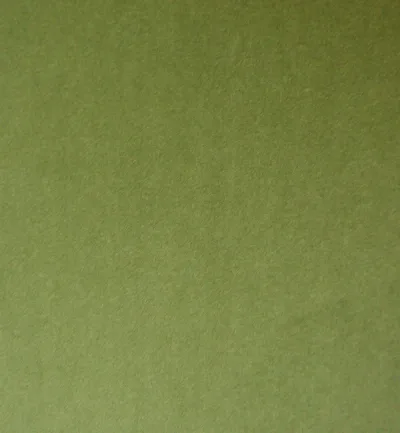 PASSIONE OLIVE swatch