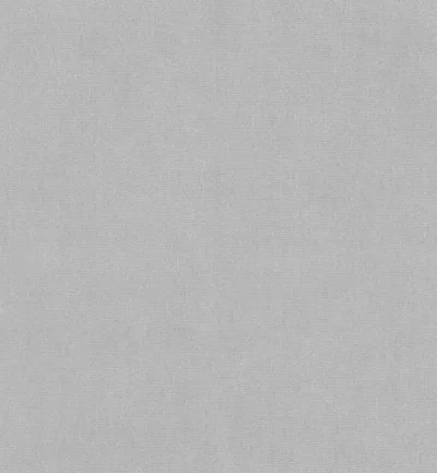 PASSIONE PLATINUM swatch