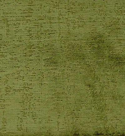 RIVIERA MOSS thumbnail 2