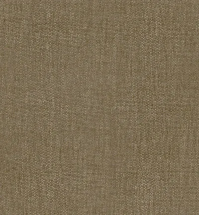 SALICE SADDLE — Salice swatch, view 1