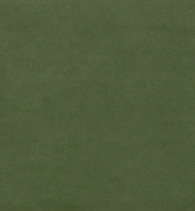 SAPORE BONSAI swatch