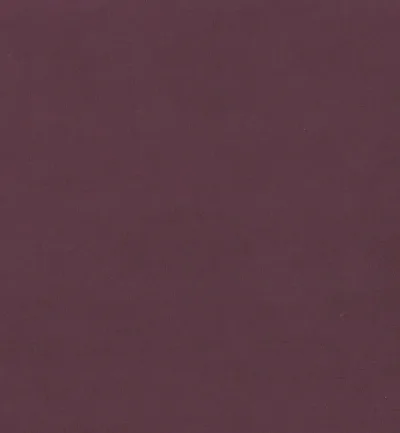 SAPORE OXBLOOD swatch