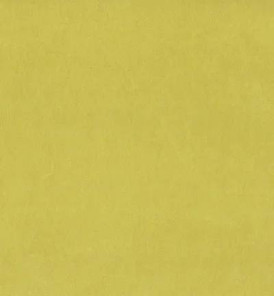 SAPORE TURMERIC thumbnail 2