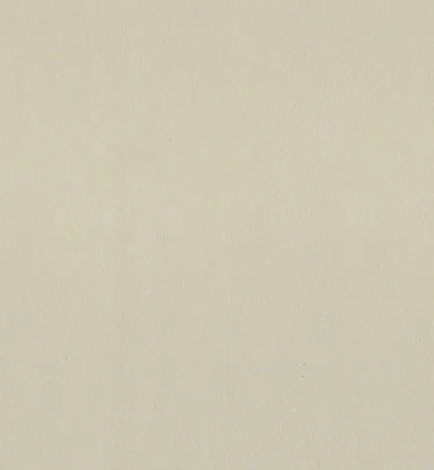 SUPREMO CHINA swatch