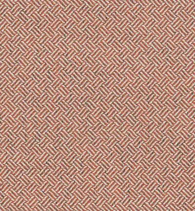 UFFIZZI FOSSIL thumbnail 2