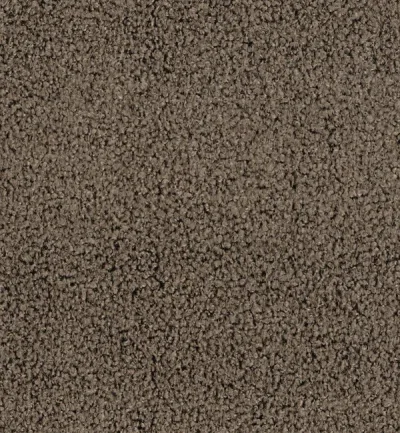 UMBRIA TRUFFLE — Umbria swatch, view 1