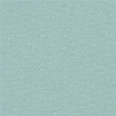 ALLIA - CELADON swatch