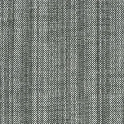 SIRACUSA - SLATE — Arizona swatch, view 1
