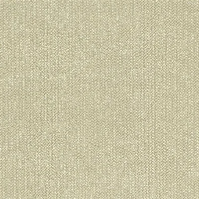 ARNO - CHAMPAGNE swatch