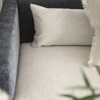 MOLANO - BIRCH thumbnail 5