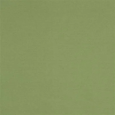 AVIANO - FOREST swatch