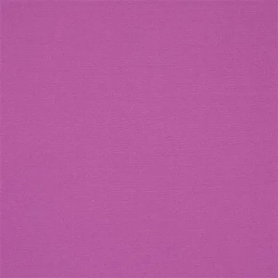 AVIANO - PLUM swatch