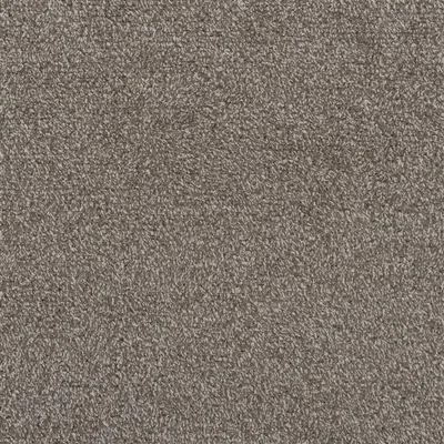 AZUARA MOLESKIN swatch