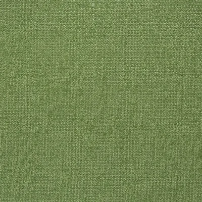 TRENTO - BASIL thumbnail 2