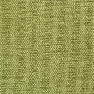 TRENTO - BASIL thumbnail 4